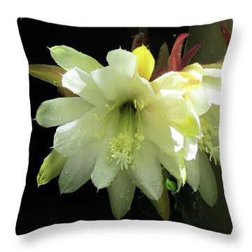 Yellow and black flower throw pillow.