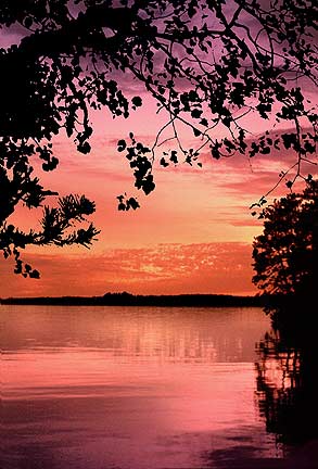 sunset nature e-cards