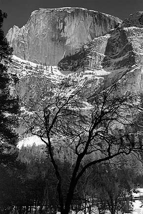 Yosemite nature ecards