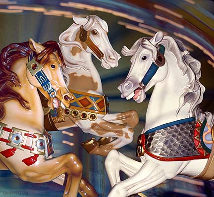 carousel horses e-card