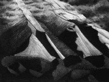 Abstract mountain landscape, Alaska.