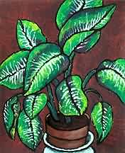 Dieffenbachia plant painting.