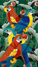 Parrots whimsical prints for sale.